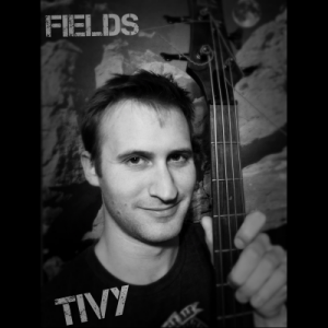 Fields album artwork